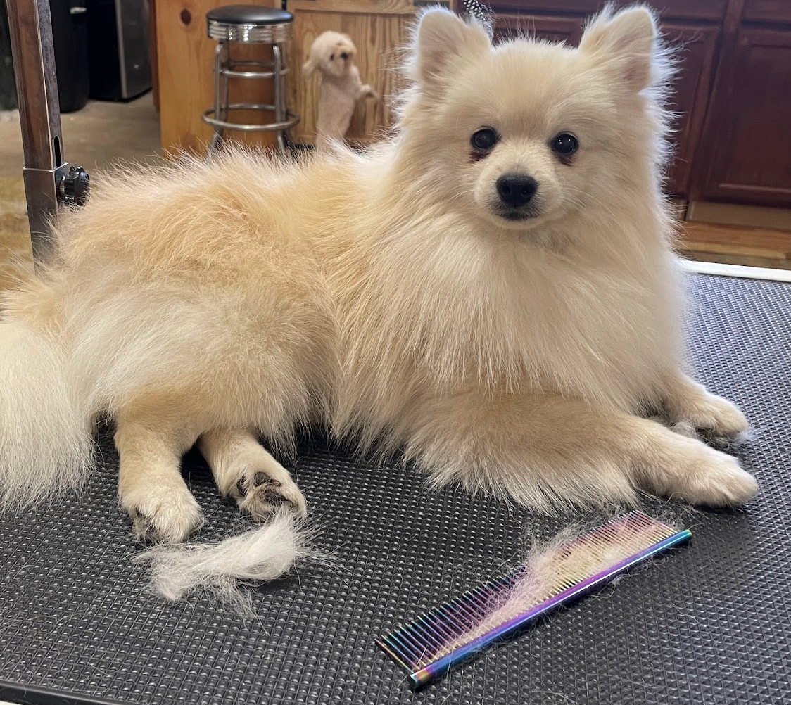 FLUFF AND BUFF