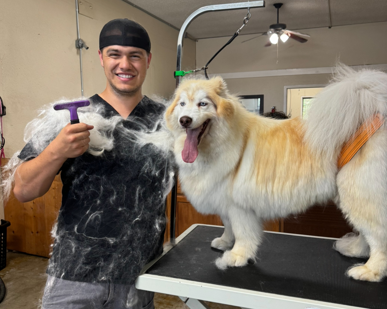 Jacob brushing dog