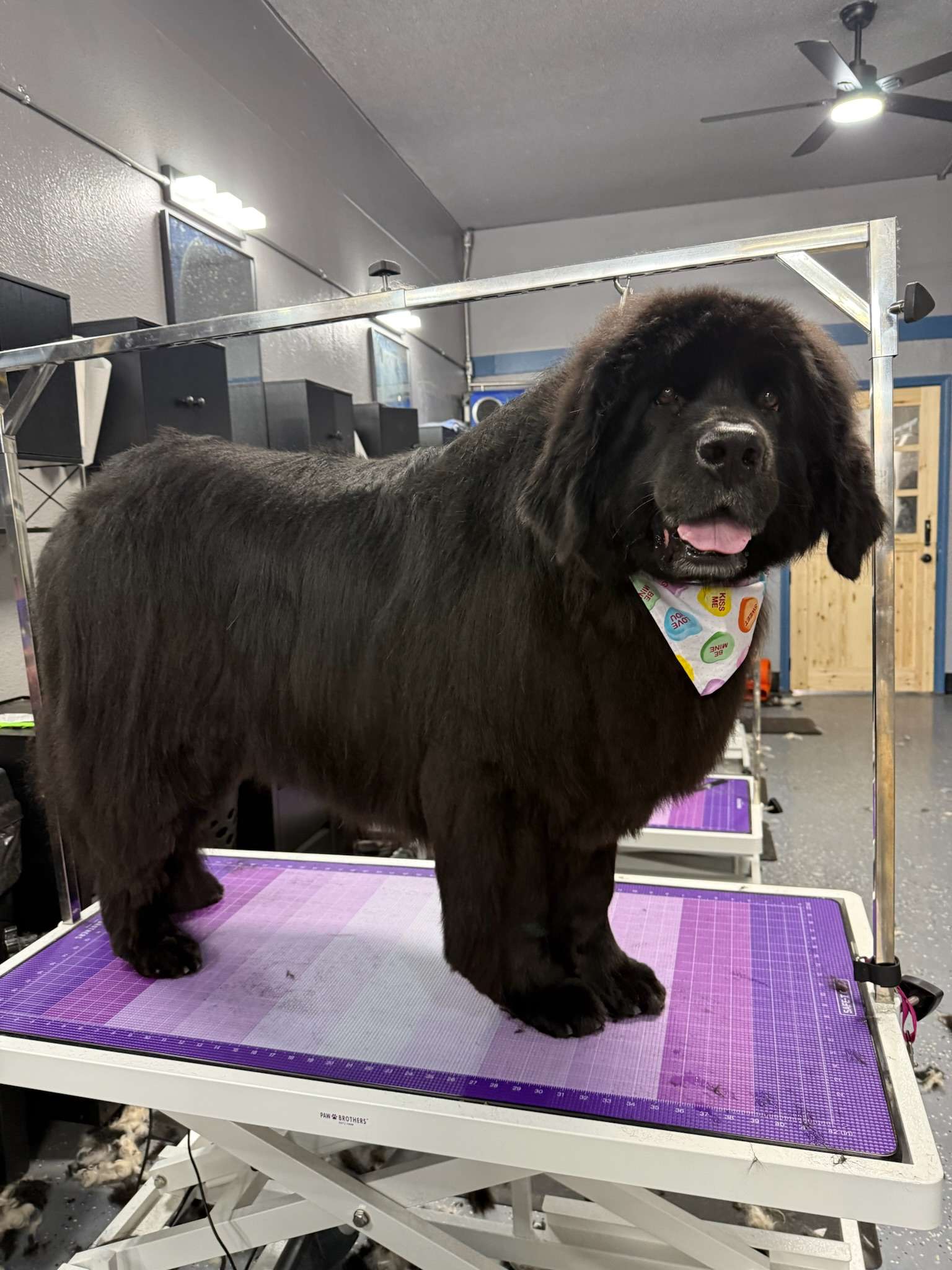 FLUFF AND BUFF